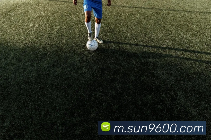 奖项证书